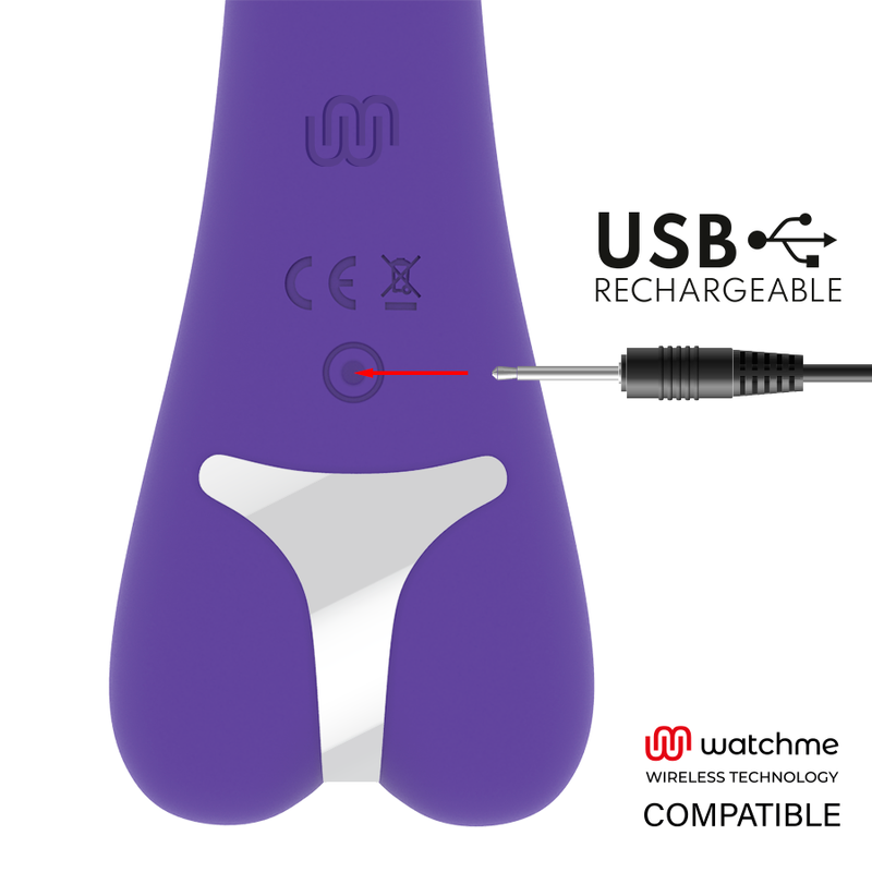 SR. CHEFE - AITOR RABBIT + CONTROLE REMOTO WATCHME - Image 5