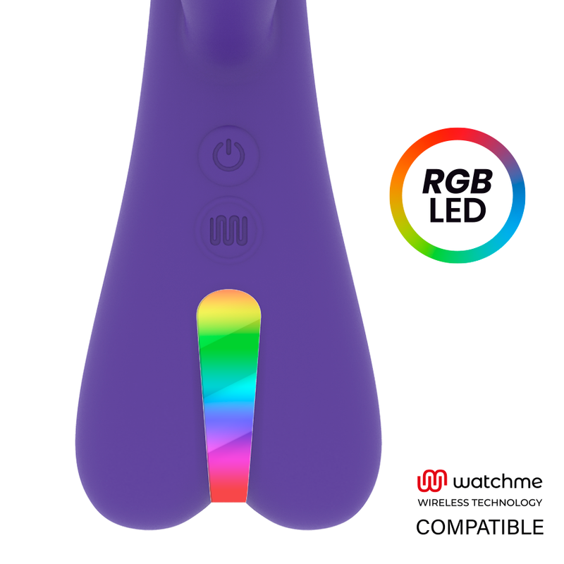 SR. CHEFE - AITOR RABBIT + CONTROLE REMOTO WATCHME - Image 6