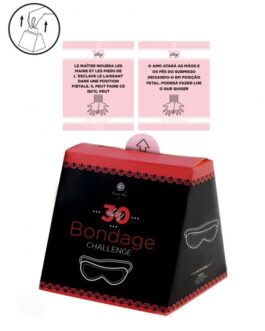 SECRETPLAY – DESAFIO 30 DIAS DE DOMINAÇÃO (FR/PT)