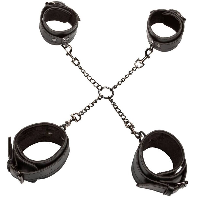 CALEXÓTICOS - EUFORIA HOG TIE - Image 6